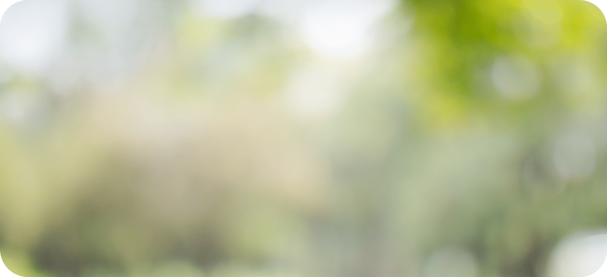 blurred foliage